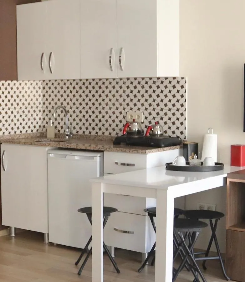 Kubbe House Apartment Istanbul Turkey